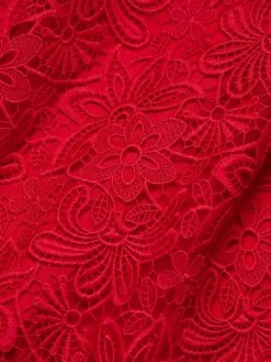 Teri Jon By Rickie Freeman Off-The-Shoulder Lace Dress -Rickie Freeman Sales 2022 unnamed file 433